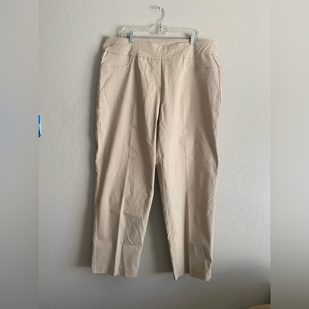 Rubi Rd pull on plus size stretchy pants